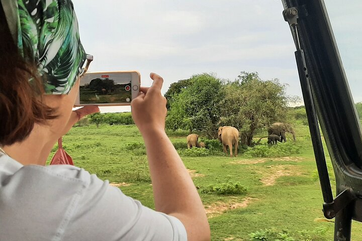 Yala Private Guided Safari by Udara - Photo 1 of 2